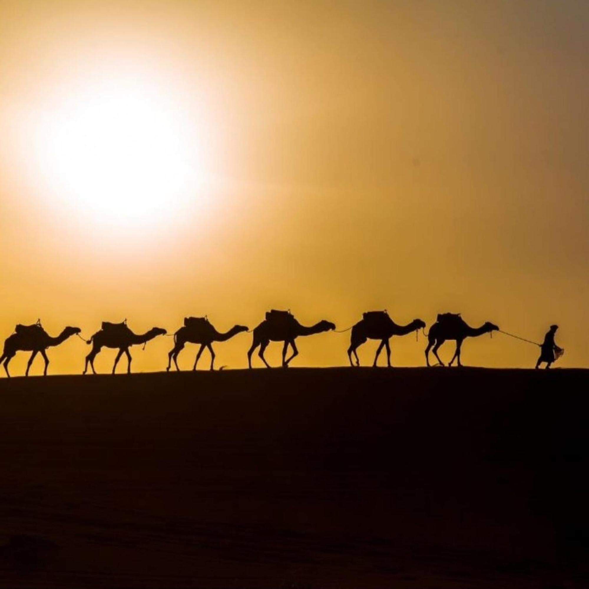 Unique Sahara Camp Hotel Merzouga Bagian luar foto