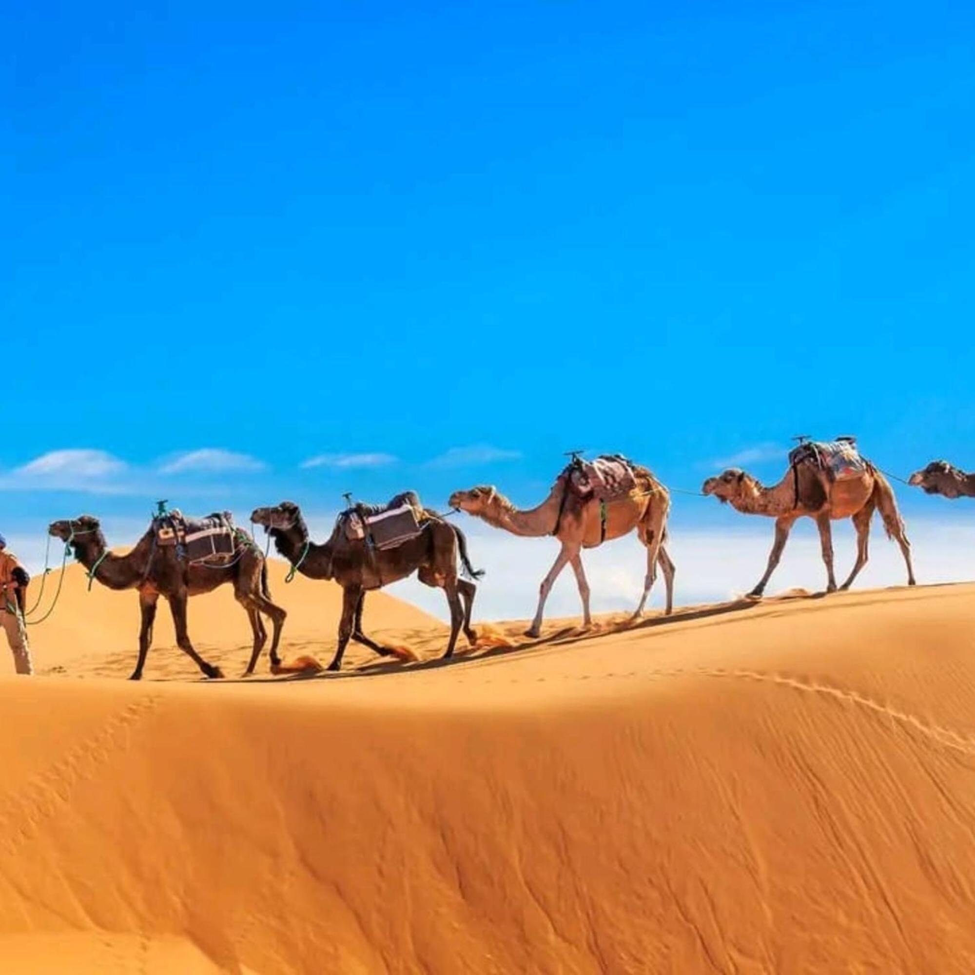Unique Sahara Camp Hotel Merzouga Bagian luar foto